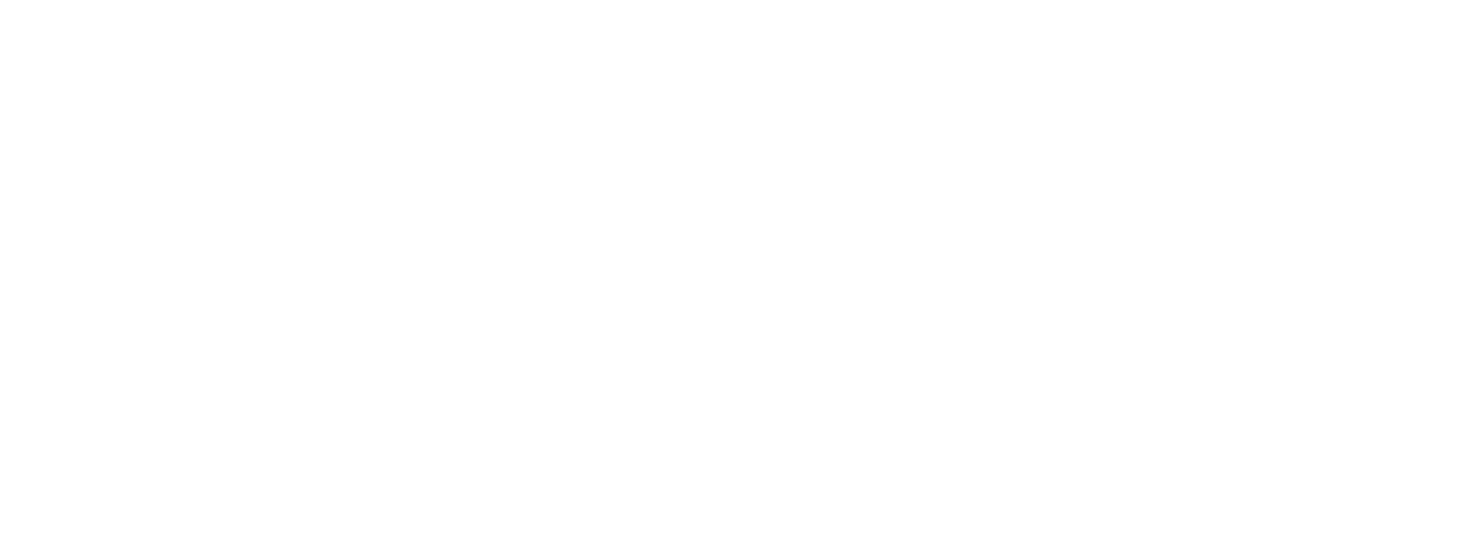 Ears to Health — Personalised Auricular Therapy